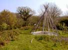 07_bare-tipi_20020508 (104KB)