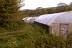 09_greenhouses_20020507 (84KB)