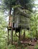 07_bens-treehouse_20020523 (68KB)