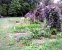 19_kitchen-garden__20021015 (120KB)