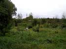 24_gardens__20021015 (66KB)