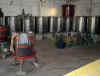 17_3_urupia_wine_making_room.jpg (241270 bytes)