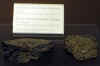 31_2_vatican_museum_bread.jpg (26691 bytes)