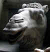 31_4_vatican_museum_camel.jpg (25323 bytes)