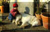 16_6_momo_orso.jpg (115395 bytes)