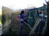 19_2_bamboo_wind_fence_momo_ofek_rosa.jpg (120212 bytes)
