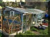 26_6_avalon_greenhouse.jpg (166532 bytes)