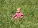 06_momo-grass_20010611 (157KB)