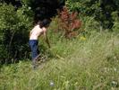 16_cutting-grass_ofek_20010620 (147KB)