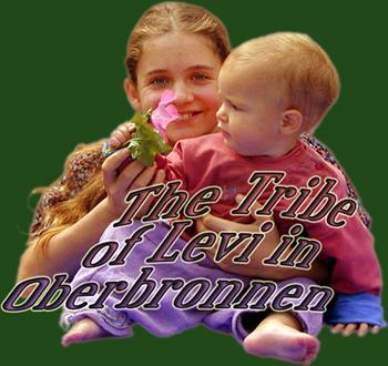 The Tribe of Levi in Oberbronnen