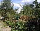03_garden-tepee_20010830 (131KB)