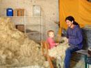 04_hemp-wool_momo-ofek_20010915 (87KB)