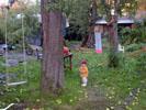 02_backyard_momo_20010930 (110KB)
