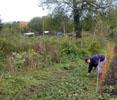 08_weeding-strawberries_erika_20011026 (112KB)