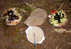 18_real-salad_20020104 (98KB)