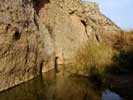 10_beginning-of-irrigation-line_20010113 (87KB)