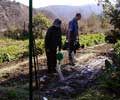 13_watering-plots_reika-alex_20010115 (90KB)