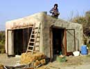 livelove/11_strawbale-house_ofek_20020215 (79KB)