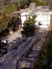 livelove/17_entrance-steps-and-irrigation-line_20020219 (64KB)