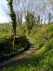 02_path_20020508 (65KB)