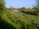 05_lower-farm_20020509 (84KB)