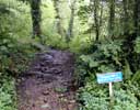 02_path_20020523 (117KB)