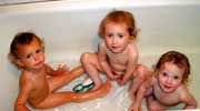 fox/01_bath_savannah-freya-momo_20020704 (53KB)