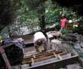 37_new-steps_kevin_20021003 (85KB)