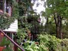 39_135-corson-ave__20021003 (122KB)