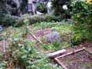41_garden__20021003 (132KB)