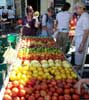 15_tomatoes_anva_20021005_by-ohn (56KB)