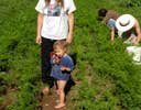 04_carrots-raspberries_momo-erika_20021018 (88KB)