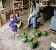19_scraping-gourds_anissa-momo-erika_20021021 (73KB)